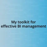 My toolkit for effective BI management