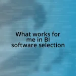 What works for me in BI software selection